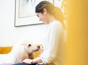 Therapiehund Feodora liegt im Büro auf einem gelben Sofa neben einer Patientin und schnuppert sanft an ihrer Hand.