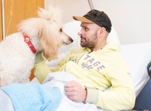 Therapiehund Feodora sitzt auf einer Spezialdecke im Patientenbett und blickt dem Patienten aufmerksam in die Augen, während dieser ihr sanft den Kopf streichelt.